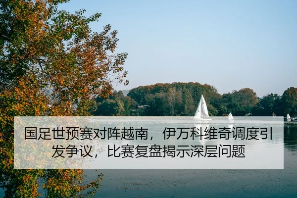国足世预赛对阵越南，伊万科维奇调度引发争议，比赛复盘揭示深层问题